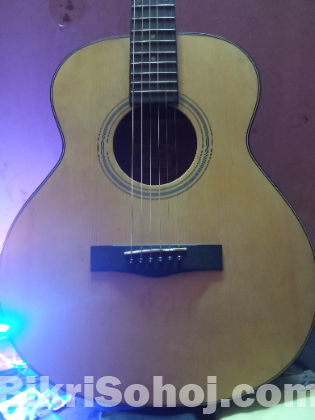 Chard acoustic guitar